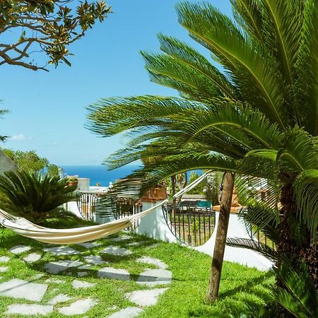 Villa Araucaria كازاميتْشيولا تيرمي المظهر الخارجي الصورة