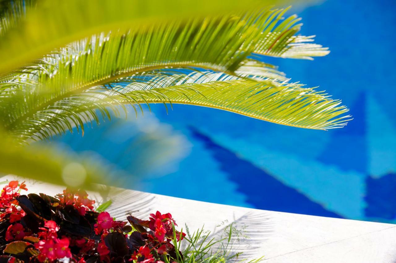 Villa Araucaria كازاميتْشيولا تيرمي المظهر الخارجي الصورة
