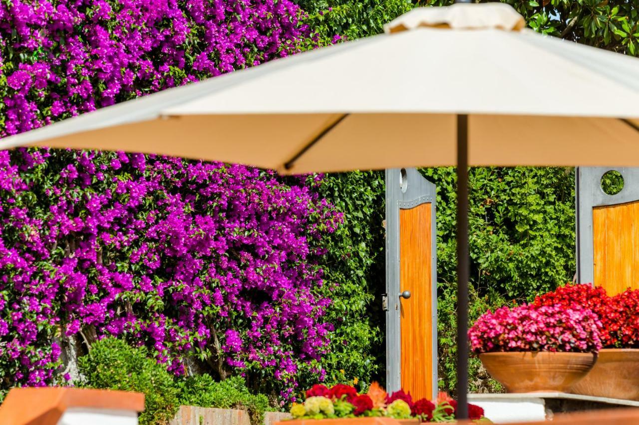 Villa Araucaria كازاميتْشيولا تيرمي المظهر الخارجي الصورة